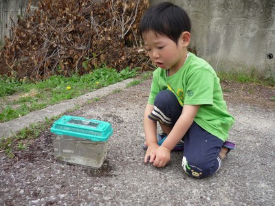 自然観察　田んぼ編