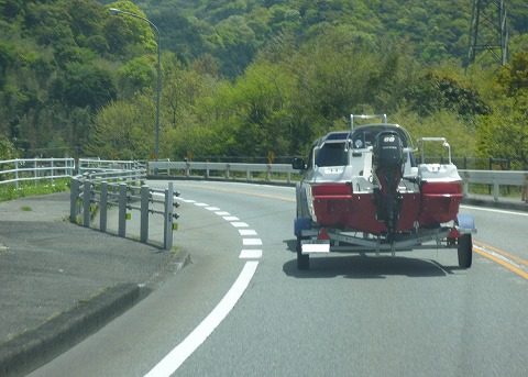 桜鯛に癒される