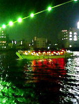 (旧・過去ログ) 隅田川シーバスを狙う
