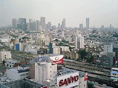 (旧・過去ログ) 隅田川シーバスを狙う