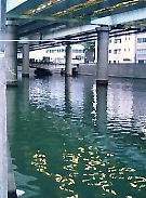 (旧・過去ログ) 隅田川シーバスを狙う