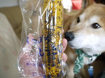 ライラックまつり