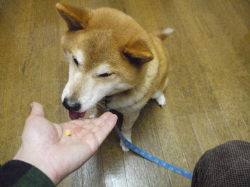豆まき