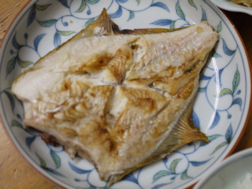 鰈に食べる!…笑