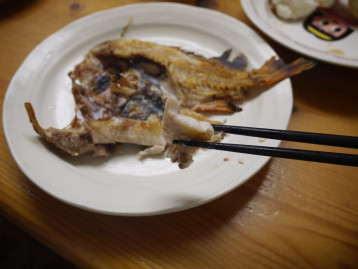 ヤナギノマイ