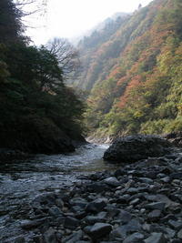 清津川は禁漁期だった(当たり前だ)