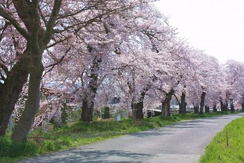 画像 画像
