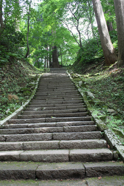 画像 画像