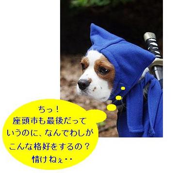 ペプシNEXのあとは・・・微妙