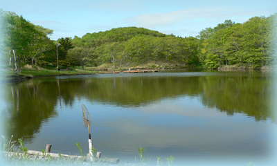 森田湖って・・・どこ???