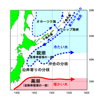 午後から、いい感じ♪