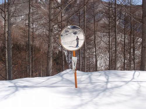 ヤマボクのタコチコース