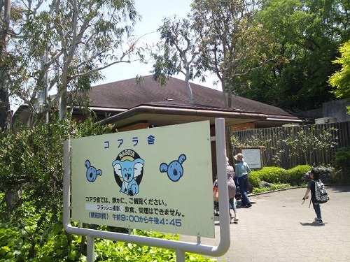 日曜の(本当の)昼下がりは、ハイエースで動物園