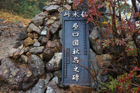 ガスの甲斐駒ケ岳&晴天紅葉の仙丈ケ岳♪