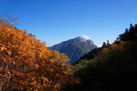 ガスの甲斐駒ケ岳&晴天紅葉の仙丈ケ岳♪