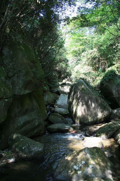 王滝渓谷 デイキャンプ ~②~