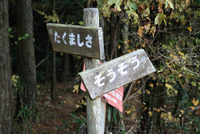焙烙山~家族登山~