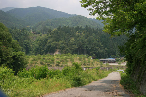 弓の又キャンプ場 OPW reportⅤ