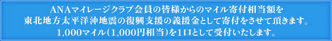 ブログ開設1周年。「デイキャンプのすゝめ」