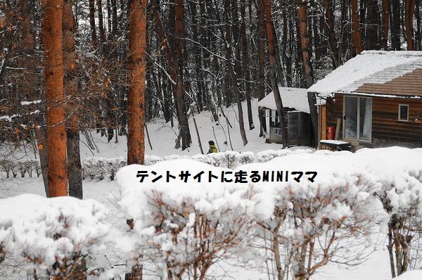 キャンピカ明野ふれあいの里