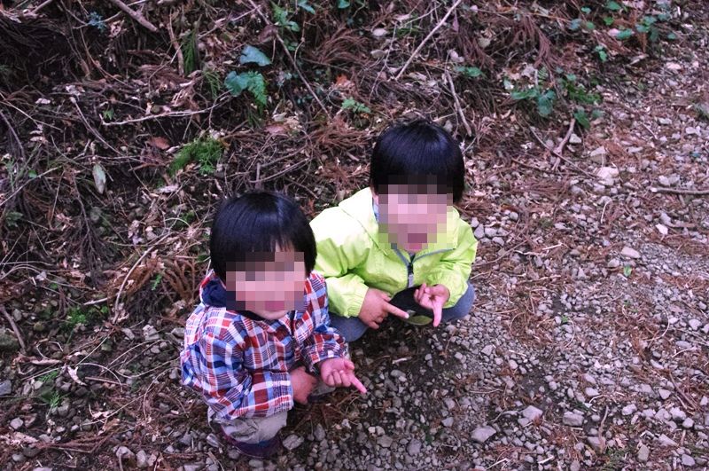 竜爪