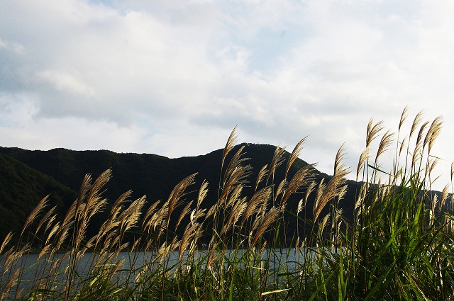 また西湖