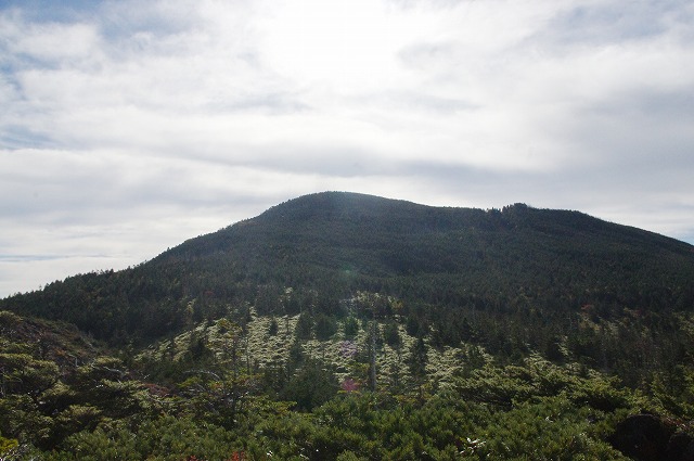 八ヶ岳中信高原国定公園 ~北横岳編~