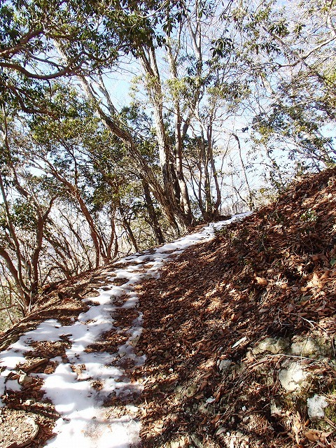 王岳