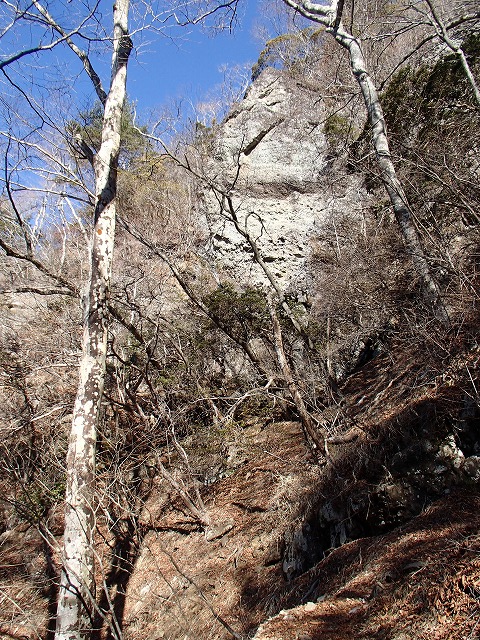 王岳