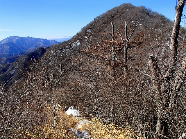 王岳