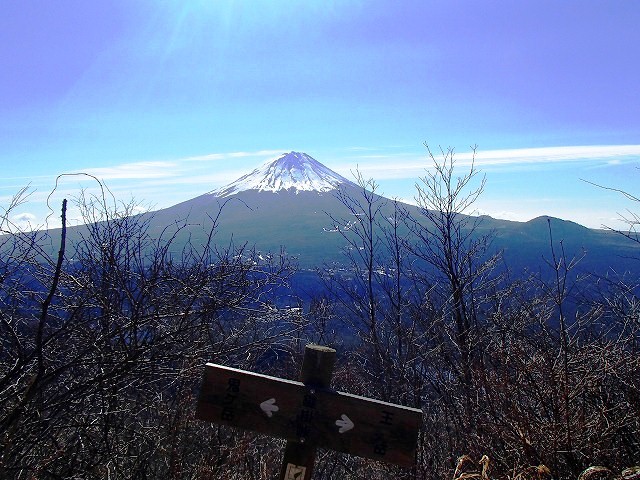 王岳