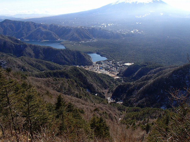 王岳