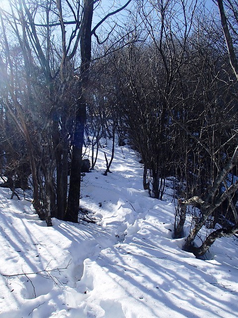 王岳