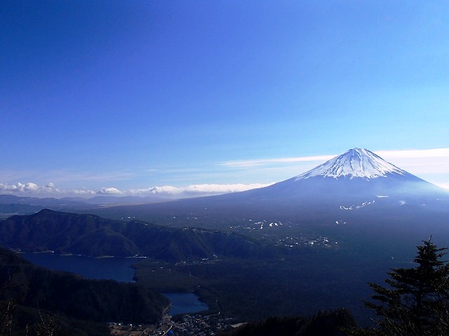王岳