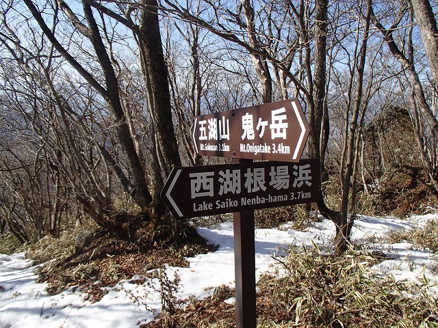 王岳