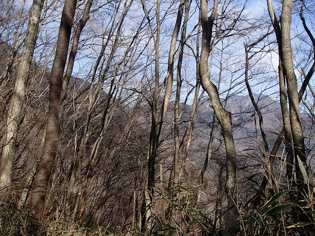 王岳