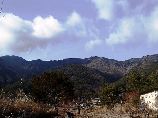 王岳