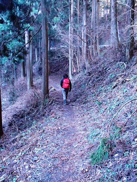 陣馬山~景信山~高尾山