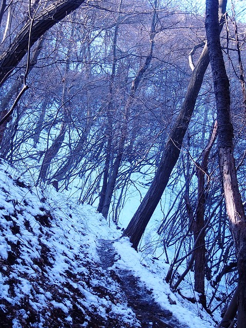 陣馬山~景信山~高尾山