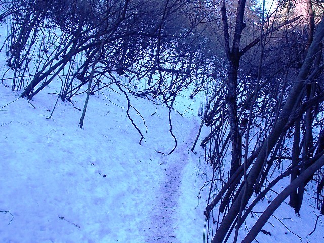 陣馬山~景信山~高尾山