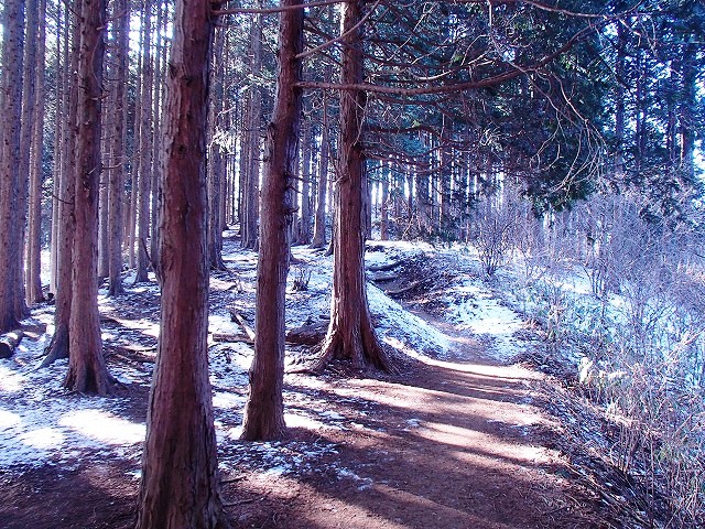 陣馬山~景信山~高尾山