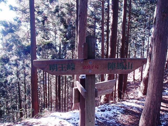 陣馬山~景信山~高尾山
