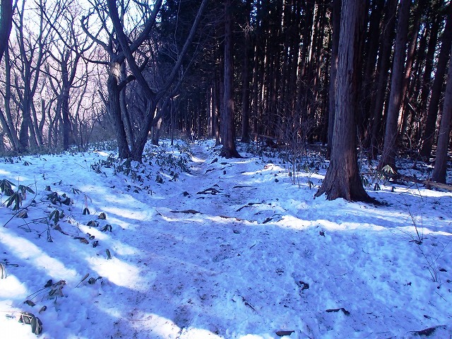 陣馬山~景信山~高尾山