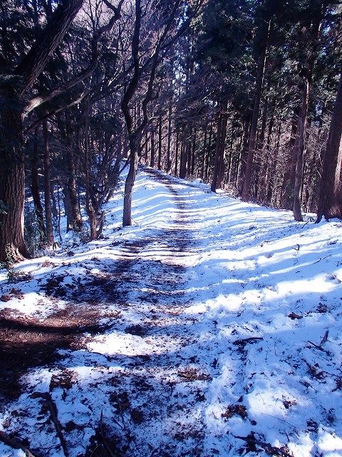 陣馬山~景信山~高尾山