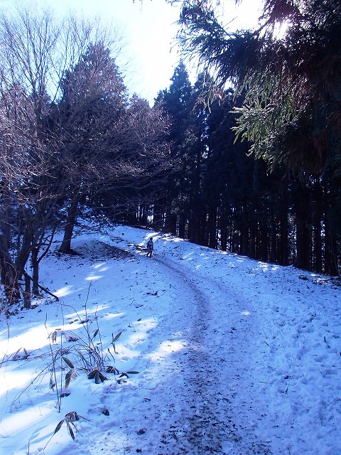 陣馬山~景信山~高尾山