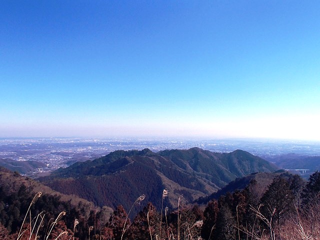 陣馬山~景信山~高尾山