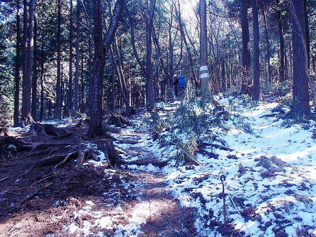 陣馬山~景信山~高尾山