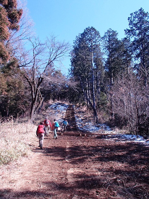 陣馬山~景信山~高尾山