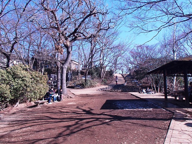 陣馬山~景信山~高尾山