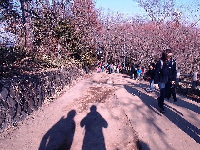 陣馬山~景信山~高尾山